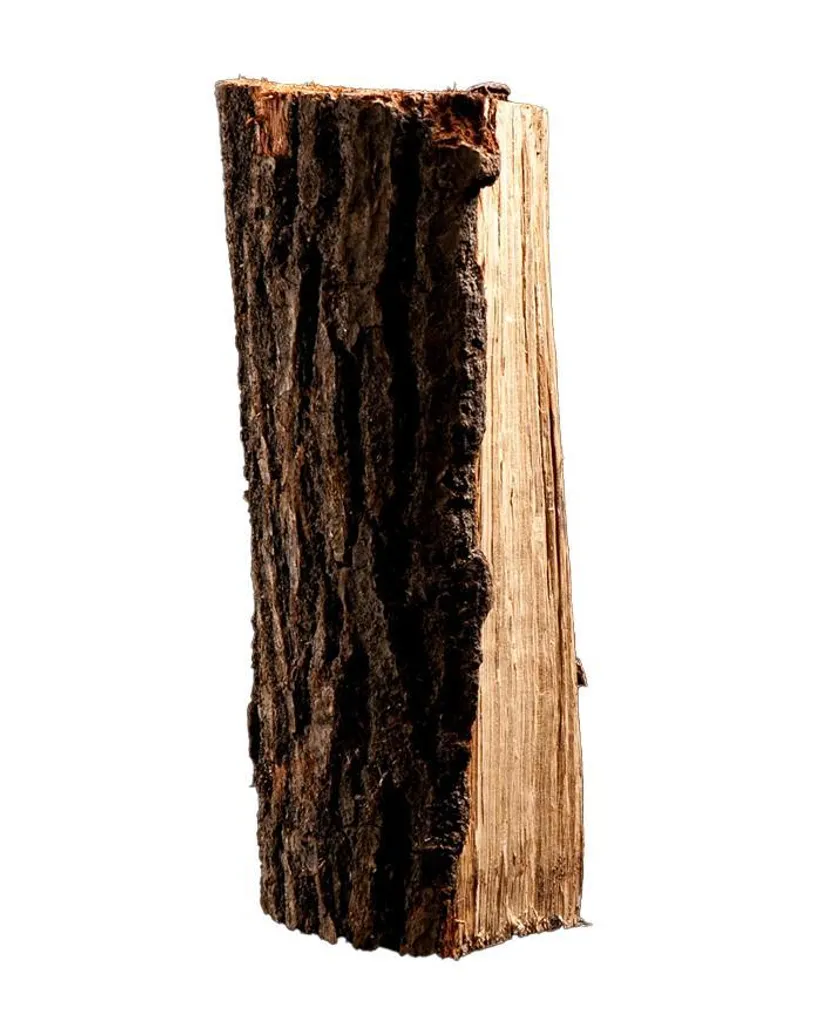 Brennholz Birke 25 cm – 2 RM auf Palette – kammergetrocknet – Bild 4
